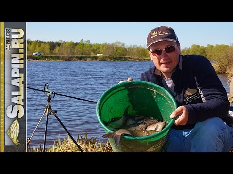 обучающее рыболовное видео обучающее рыболовное видео