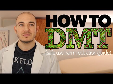 DMT Safety Guide Reducing Harm Through Education 