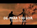 Dil Mera Tod Diya [Slowed+Reverb] Hindi Lofi Song