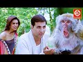 Akshay Kumar, Deepika Padukone (HD Quality)- Full Comedy Movie | Riteish Deshmukh | Housefull