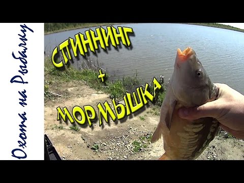 на что ловить карпа на спининг на что ловить карпа на спининг