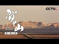 《贺兰山》第一集 山魂 | CCTV纪录