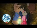 Peter Rabbit - Searchlights | Cartoons for Kids