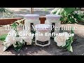 How To Make Natural Perfume | DIY Enfleurage | DIY Essential Oil For Solid Perfume & DIY skincare