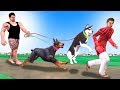 पहलवान और चोर Dog Thief Hindi Kahaniya -  हिंदी कहानियाँ