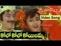 Number One-నెంబర్ వన్ Telugu Movie Songs | Kolo Kolo Koloyamma Video Song | TVNXT