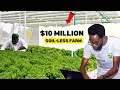 The Man Behind the Largest SOILLESS FARM in Nigeria