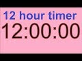 12 Hour Timer 12 Hours Countdown 12 Stunden Countdown Timer 12h timer