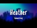 Heather - Conan Gray |Visualized Lyrics| 🥂