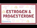 Estrogen & progesterone
