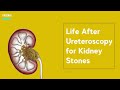 Life After Ureteroscopy for Kidney Stones