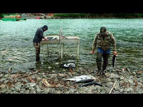 рыбалка на аляске фильм документальный фильм рыбалка на аляске фильм документальный фильм