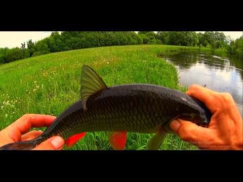 нахлыст весной видео нахлыст весной видео