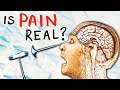 Does Pain Actually Hurt?