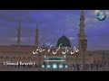 Hal-e-Dil kis Ko Sunaye Ap ﷺ Ky hoty Hue | (𝚂𝚕𝚘𝚠𝚎𝚍 + 𝚁𝚎𝚠𝚎𝚛𝚋) | urdu lyrics #Naat