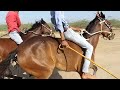 ઘોડો દોડ :Horse race in targadi kutch