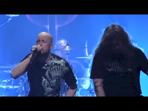 скачать meshuggah born in dissonance