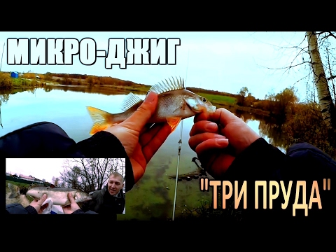 ловля микроджигом на прудах ловля микроджигом на прудах