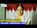 Eduruleni Manishi Video Songs | Enadaina Anukunnana Song | Nagarjuna | Soundarya | Shemaroo Telugu