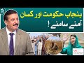 Farmers rejected Punjab government's wheat policy  - Aaj Exclusive with Tariq Chaudhry - Aaj News