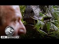 “Clever Girl”: Muldoon Is Eaten by a Velociraptor | Jurassic World