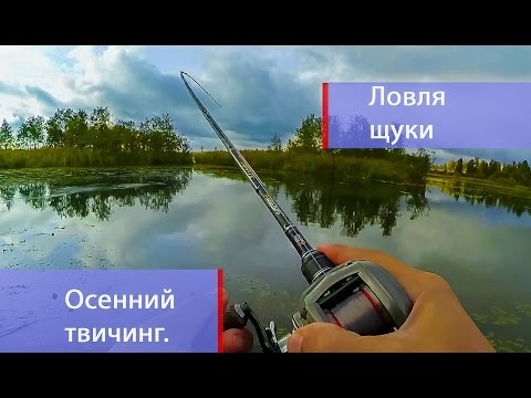 тактика ловли твичингов тактика ловли твичингов