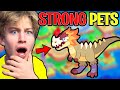 Top 5 *STRONGEST* Pets in Prodigy!!! [RARE]