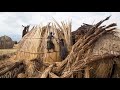 Sustainable Living - Hut of Reeds
