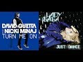 David Guetta Vs Lady Gaga Just Dance And Turn Me On (DJ Looly Mashup Remix)