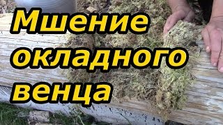 Как сделать камеру для фотонаблюдения своими руками Как сделать камеру для фотонаблюдения своими руками