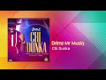 Drimz Mr Muziq - Chi Dunka (Official Audio)