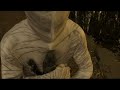 Dada Diamond - The Mummy [OFFICIAL MUSIC VIDEO]