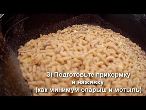 советы для рыбаков ранней весной советы для рыбаков ранней весной