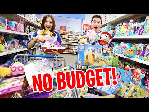 NO BUDGET AT THE TOY STORE 