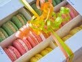Download Macarons Rezept: Alle Tipps zum Backen von Macarons mp4 3gp mp3 videos - waplic