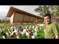 Free-range Farming, Millions of Profit! How to become successful in raising Goats, Chickens & Ducks!