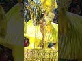 Golden Brazilian Rio Carnival 2023 #riocarnival #riocarnaval
