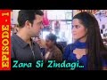 Zara Si Zindagi - Hindi TV Serial - Full Episode 1