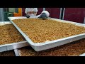 This is a protein thug! Future Food Edible Insect, Mealworm / Korean food factory