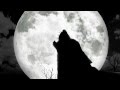 Wolves Howling At The Moon