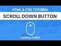 Scroll Down Button | HTML & CSS Tutorial | With Source Code