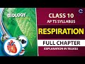 #Respiration Full chapter Explanation in Telugu | 10th biology Ch 2 | AP & TS syllabus |10th Biology