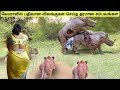 கேமராவில் பதிவான விலங்குகள் செய்த தரமான சம்பவங்கள் | Animal moments caught on camera | Tamil Wonders
