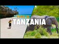TANZANIA & ZANZIBAR: Ultimate Travel Guide to PARADISE ISLAND & SAFARI