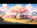 Cherry Blossom🌸 Lofi Keep You Safe 🌸 Deep Sleep and Relax [ Lofi Hip Hop - Lofi Songs ]