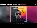 Funky Qla & Dlala Thukzin - Dark or Durban (Official Audio)