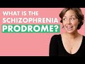 How Schizophrenia Starts - My Experience with the Prodromal Phase