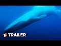 The Loneliest Whale Trailer #1 | Movieclips Indie