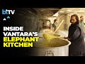 #Exclusive | Anant Ambani And Rahul Kanwal Take a Tour of Vantara Kingdom Elephant Kitchen