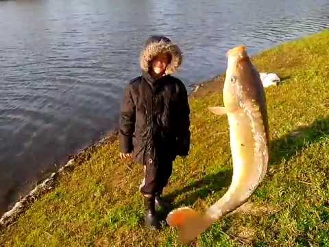 рыбалка на суре в мордовии б.березники видео рыбалка на суре в мордовии б.березники видео